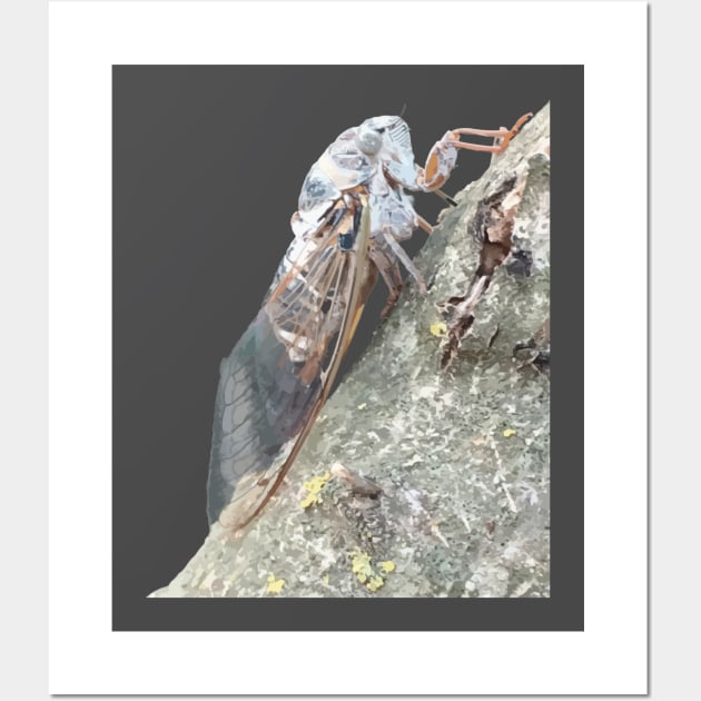 Cicada Insect Vector Wall Art by taiche